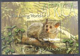 Gambia 2005 Lemur - Animals   Mi.ms 688 -MNH (**) - Gambie (1965-...)