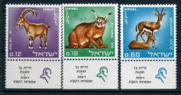 .1967 Israele, Protezione Natura Serie Con Appendice, Serie Completa Nuova (**) - Unused Stamps (with Tabs)