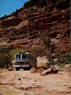 (401) Northern Territory - Palm Valley And 4 Wheel Drive Bus - Non Classés