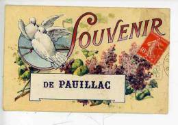 PAUILLAC Souvenir - Lilas Colombes  (lettrage En Relief - Pauillac