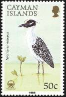 Cayman Is  1988 Birds Aves Oiseaux Vegels - Herons, Bitterns - Yellow-crowned Night-Heron - Nyctanassa Violacea  MLH - Cicogne & Ciconiformi