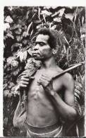 PAPOUASIE GUERRIER MONTAGNARD (BEAU PLAN) - Papua-Neuguinea