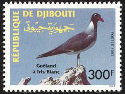 Djibouti 1993 Birds  Aves Oiseaux Vegels - Gulls, Terns & Skimmers  - White Eyed Gull MNH - Albatros & Stormvogels