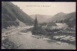 CPA     HAUTE SÜRE AVEC RUINE DE BOURSCHEID - Bourscheid