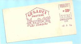 1963, Gennevilliers, Jardin, Fruit, Protection,  - EMA Secap N, Spécimen De Présentation - Feuillet 12 X 6 Cm  (K849) - Legumbres