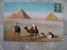 Egypt Egypte   The Pyramids Of Gizeh  - Camels Chameaux     D99983 - Guiza