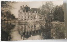 45 - La Ferté St Aubin, Le Château - La Ferte Saint Aubin