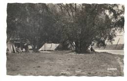 Jargeau (45) : Le Terrain De Camping En Bord De Loire En 1950 (animé).PF - Jargeau