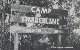 Wisconsin Timberlane Entrance To Camp Timberlane Artvue - Andere & Zonder Classificatie