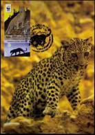 2011 Israel Leopard (Panthera Pardus Saxicolor) W. W. F. MC Maximum Card (1) - Cartes-maximum