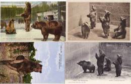 4 CPA - Ours -Bear .- Scènes ...   (52846) - Bears