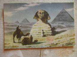 Egypt - Pyramids Sphinx - Chameaux Camel     D100100 - Piramiden