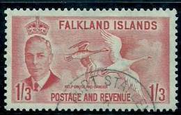 Falkland Is 1952 Birds Aves Oiseaux Vegels - Ducks,Geese,Swans - Kelp Goose - Chloephaga Hybrida Canc - Ganzen