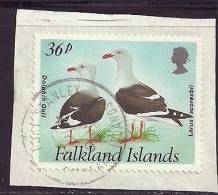 Falkland Is 1993 Birds Aves Oiseaux Vegels - Dolphin Gull - Larus Scoresbii Canc - Seagulls