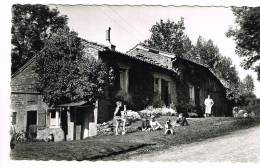 Postkaart / Carte Postale "Torgny - Rue De L'Ermitage - Carte Vues" - Rouvroy