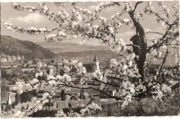 ALLEMAGNE WALDSHUT IN BLUTENSCHMUCK 1957 - Waldshut-Tiengen