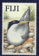 Fiji 1985 Birds Aves Oiseaux Vegels - Great Crested Tern - Sterna Bergii MNH - Marine Web-footed Birds