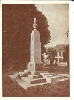 57 - Moselle - FREYMING - MERLEBACH - Monuments Aux Morts - Format 10,5 X 15 - Freyming Merlebach