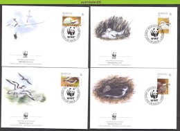 Nbx284fb WWF FAUNA VOGELS Tropicbird, Stormvogel BIRDS VÖGEL AVES OISEAUX BERMUDA 2001 FDC's - FDC