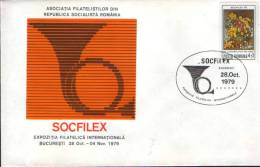 Romania-First Day Cover 1979-Picture Of Stefan Luchian "wild Flowers" - Impresionismo