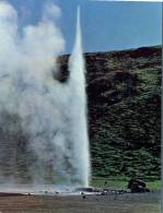 (602) Island Geyser - Islanda