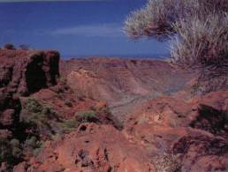 (345)  Australia - WA - Charles Knife Canyon - Sonstige & Ohne Zuordnung