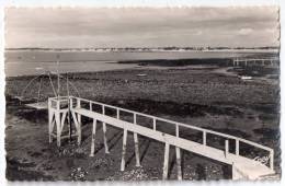 La Plaine (-sur-mer) - Port-Giraud, Le Carrelet, éd. Artaus Père Et Fils N° 12 - La-Plaine-sur-Mer