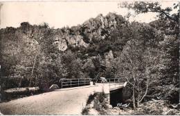 ENVIRONS DE BARENTON  LES ROCHERS DE LA FOSSE ARTHOUR - Barenton