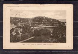 36582      Regno  Unito,     Torquai  -  The  Town From  Waldron  Hill,  VG  1910 - Torquay