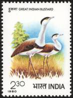 India 1980 Birds Aves Oiseaux Vegels - Intl Symposium On Bustards - Indian Bustard- Ardeotis Nigriceps MNH - Storchenvögel