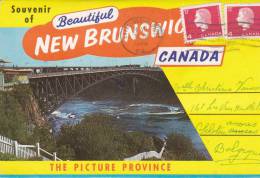 New Brunswick, Special Postcards Including 12 Views Of Toronto - Autres & Non Classés