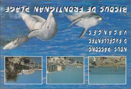 BR56373 Frontignan Plage Dauphine Dolphins   Animaux Animals   2 Scans - Delfines