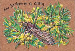 BR56386 La Cigatte Insects    Animaux Animals   2 Scans - Insectes