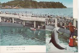 BR56433 Dauphine Dolphine The Marienland Et Enoshima    Animaux Animals   2 Scans - Dauphins