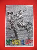 DO"NT WORRY,BE HAPPY,CROATIA STAMPS - Zebra's