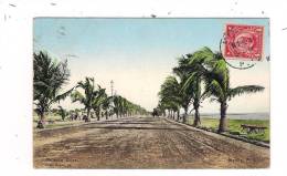 CPA PHILIPPINES - MANILLA - Malecon Drive - TB Plan D'une Avenue Avec Palmiers - TB Carte - Philippines