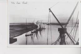 Carte Photo Photo Véritable Suez Canal - Sues