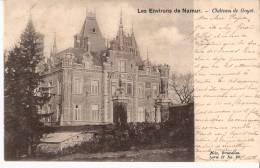 Les Environs De Namur-1901- Château De Goyet (Gesves-Mozet)- Vallée Du Samson - Gesves