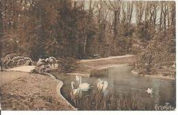 Delcampe - LUCON. JARDIN DUMAINE. - Lucon