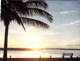 (107) Australia - WA - Carnarvon Palm Tree And Sunset - Sonstige & Ohne Zuordnung