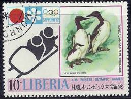 Liberia 1971 Birds Aves Oiseaux Vegels Winter Olympic Games, Sapporo, Japan - Common Murre - Uria Aalge Canc - Marine Web-footed Birds