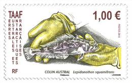 T.A.A.F. // F.S.A.T. 2013 - Faune, Colin Austral - 1v Neufs // Mnh - Nuevos