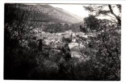 13 - Roquevaire - Vue Générale -  Editeur: Tavernese - Roquevaire