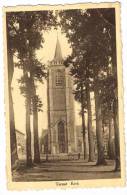 Postkaart / Carte Postale "Ternat - Kerk / Eglise" - Ternat