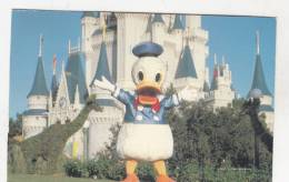 Br56669 Donald Dack Mot The Offical Host Of The Magic Kingdom    2 Scans - Disneyworld