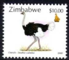 Zimbabwe - 2000 $10 Ostrich MNH** - Autruches