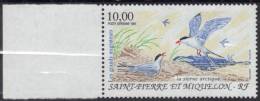 St PIERRE ET MIQUELON 1995 - PA 74  BdF - Oiseaux Sterne Arctique - Neuf Sans Charnière - Côte 4,50 €uros - Neufs