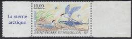 St PIERRE ET MIQUELON 1995 - PA 74  BdF Et Vignette - Oiseaux Sterne Arctique - Neuf Sans Charnière - Côte 4,50 €uros - Nuevos