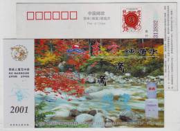 Forest Stream,drinking Water Machine,China 2001 Dongfang Pure Water Advertising Pre-stamped Card - Wasser