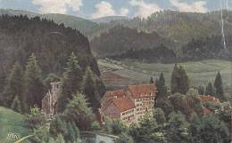 Allerheiligen, Schwarzwald, Künstlerkarte: WIRO 2780 C, Um 1910 - Oppenau